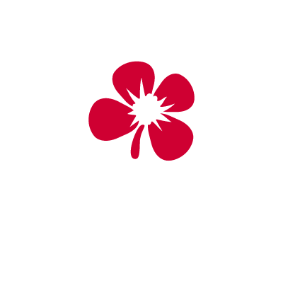 ハイビスカスのロゴ